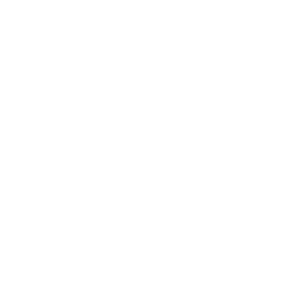 Nureon Systems mark
